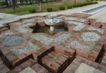 Tepeli Toygar ve Doğa Dostu Girişimler