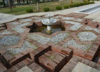 Tepeli Toygar ve Doğa Dostu Girişimler