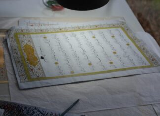 Sosyo-Ekonomik Yapı